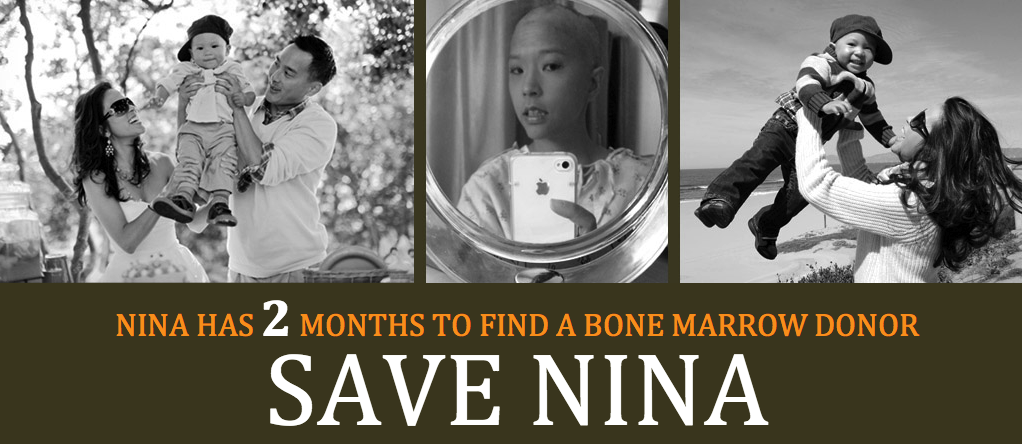 Save-Nina-