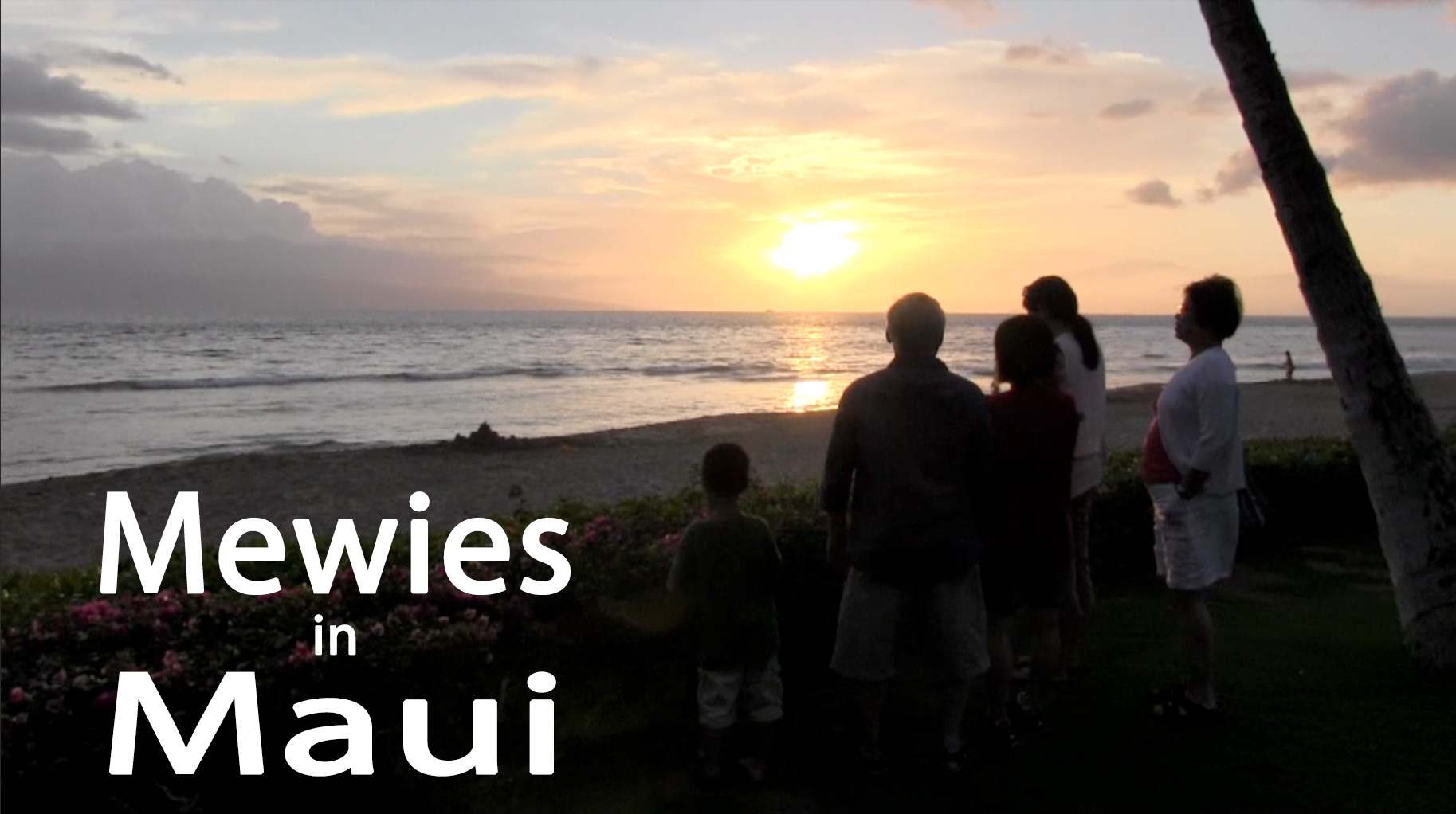 Mewies in Maui Video